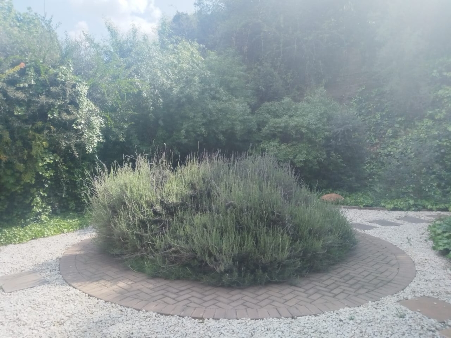 To Let 3 Bedroom Property for Rent in Hillsboro Free State